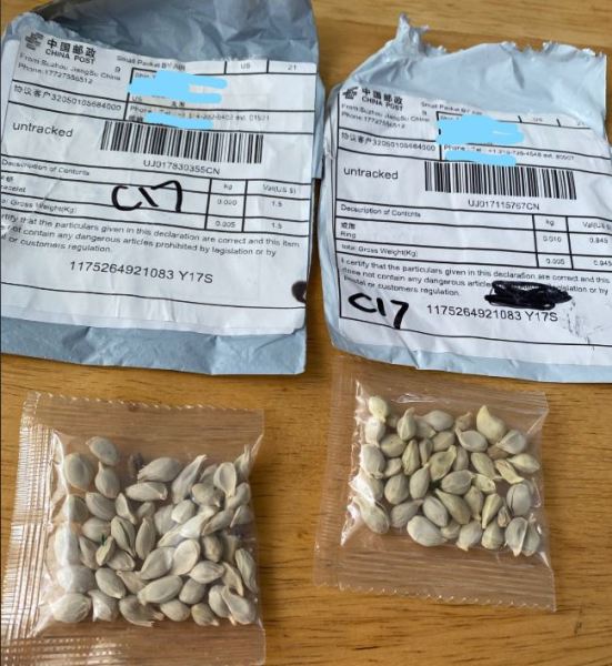 brushing scam seedsfromchina